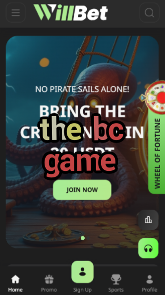 The BC Game: Your Ultimate Guide-vz72fvrf.com
